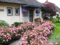 Filename=097_UnterkunftPrivatzimmer.JPG
Filesize=2465KiB
Dimensions=3072x2304
Date added=Sep 12, 2017 097_UnterkunftPrivatzimmer.JPG