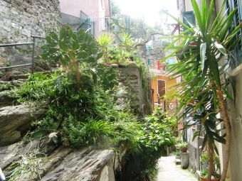 Filename=198_Riomaggiore.JPG
Filesize=2590KiB
Dimensions=3072x2304
Date added=Sep 16, 2017 198_Riomaggiore.JPG