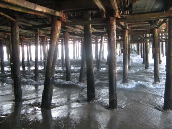 Filename=31_UnterDemSantaMonicaPier.JPG
Filesize=2260KiB
Dimensions=3072x2304
Date added=Jan 28, 2018 31_UnterDemSantaMonicaPier.JPG