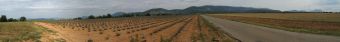 Filename=Panorama_Frankreich_Lavendelfelder_bei_St_Jurs.jpg
Filesize=1081KiB
Dimensions=6326x797
Date added=Sep 17, 2017 Panorama_Frankreich_Lavendelfelder_bei_St_Jurs.jpg