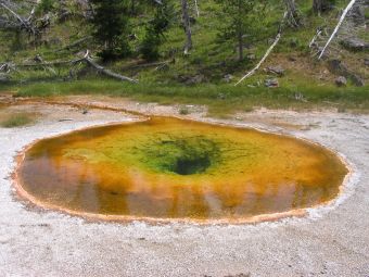 USA_Yellowstone_Hot_water_spring.jpg